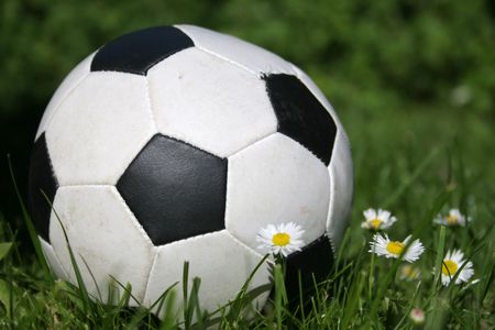 Football in a grassの写真素材