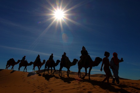 Camel caravan in the Sahara desert, Moroccoの写真素材