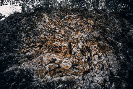 Close-up of folded rock layers and geological formations in ProkopskÃ© ÃºdolÃ­ nature reserve, Prague.の写真素材