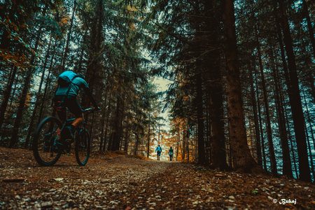 Cyclist Riding and Mountain Bike in the Beautiful Autumn Forest.の写真素材