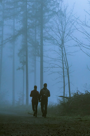 Silhouette of two men walking in a foggy forest.の写真素材