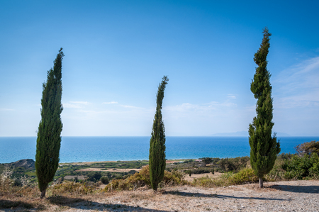 Cypresses overlooking Aegean Sea. Rhodes. Greece. Europe.の写真素材