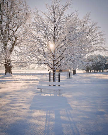 Winter in park, bench covered with thick layer of fresh snow.の写真素材