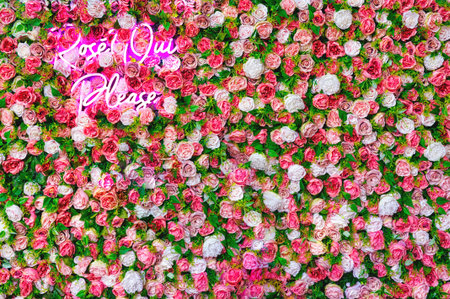 Roses, Oui please. Roses, yes please. Background made of artificial roses with pink neon sign