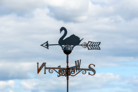 An iron cast and rusty swan wind rose.の写真素材