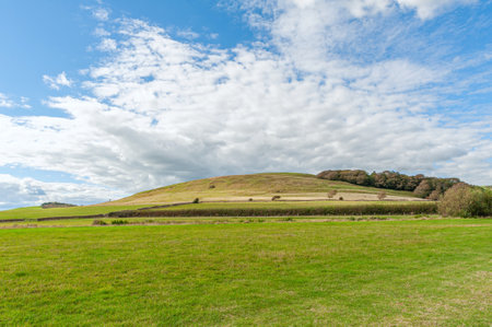 Hills with a green lush grass,fields and meadows against blue cloudy sky.の写真素材