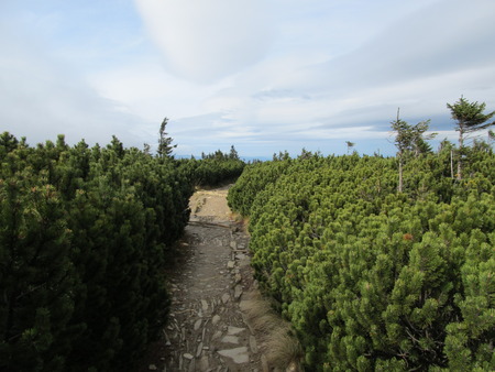 Tundra Pathの写真素材