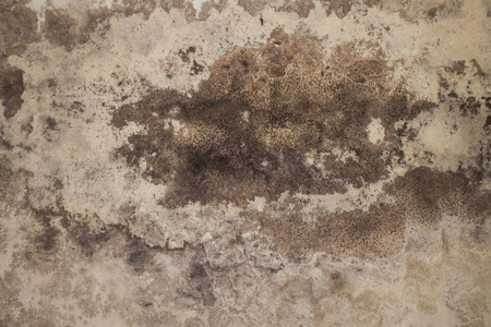 Wall texture with mold in the center and ruinedの写真素材