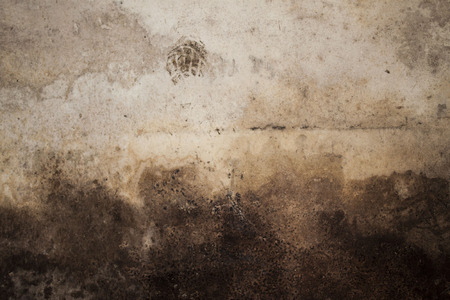 Wall texture with black mold on the bottomの写真素材