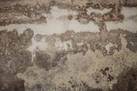 Wall texture with cracks and moldの写真素材