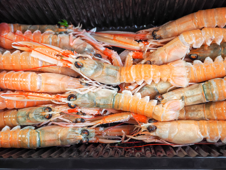 Fresh shrimps / prawns, Croatian street shopのeditorial素材