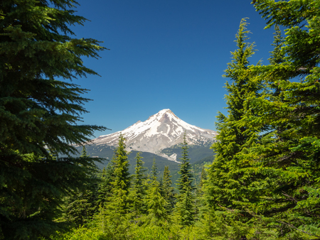 Portland, Oregon, USA - July 2018: Mount Hood National Forest, Frog Lake Viewのeditorial素材