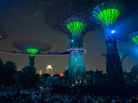 Supertree Grove at Gardens by the Bay urban nature park in Singaporeのeditorial素材