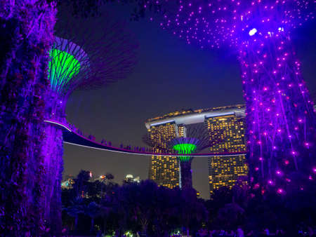 Supertree Grove at Gardens by the Bay, urban nature park in Singaporeのeditorial素材