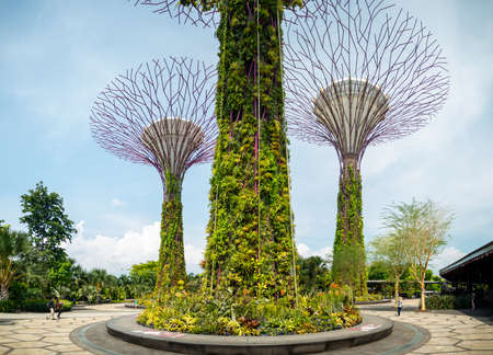 Supertree Grove at Gardens by the Bay, urban nature park in Singaporeのeditorial素材