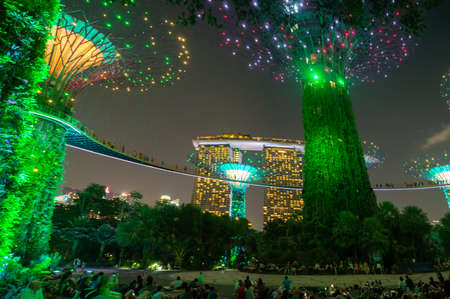 Supertree Grove at Gardens by the Bay, urban nature park in Singaporeのeditorial素材