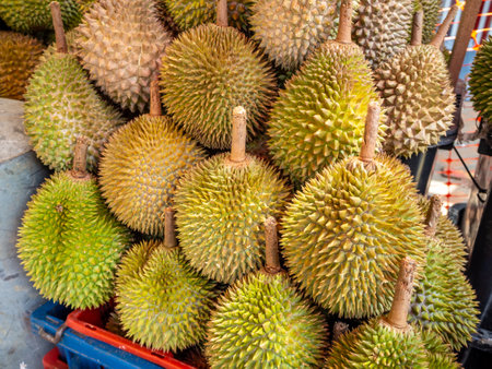 Durian, asian street food marketの写真素材
