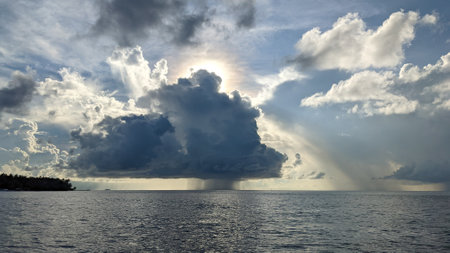 Maldives speed boat transportation, whale shark and manta snorkeling and catching, atoll sea lifeの写真素材