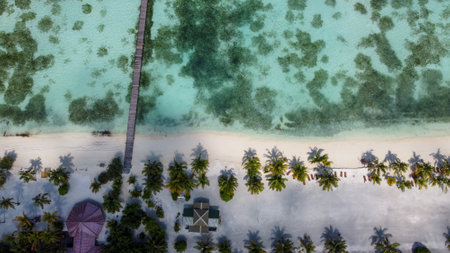 Maldives resort island drone aerial view, Indian ocean atoll nature beach and palm forest, leisure tourist luxury vacationの写真素材