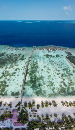 Maldives resort island drone aerial view, Indian ocean atoll nature beach and palm forest, leisure tourist luxury vacationの写真素材