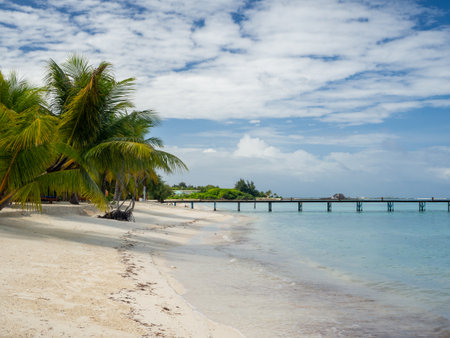 Maldives tropical islands panoramic scene, idyllic beach palm tree vegetation and clear water Indian ocean sea, tourist resort holiday vacationの写真素材
