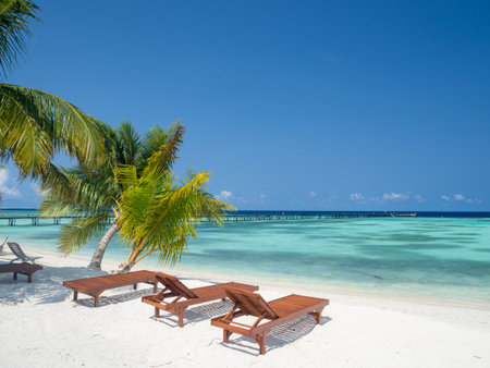 Maldives tropical islands panoramic scene, idyllic beach palm tree vegetation and clear water Indian ocean sea, tourist resort holiday vacationの写真素材