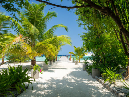 Maldives tropical islands panoramic scene, idyllic beach palm tree vegetation and clear water Indian ocean sea, tourist resort holiday vacationの写真素材
