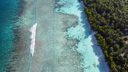 Maldives resort island drone aerial view, Indian ocean atoll nature beach and palm forest, leisure tourist luxury vacationの写真素材