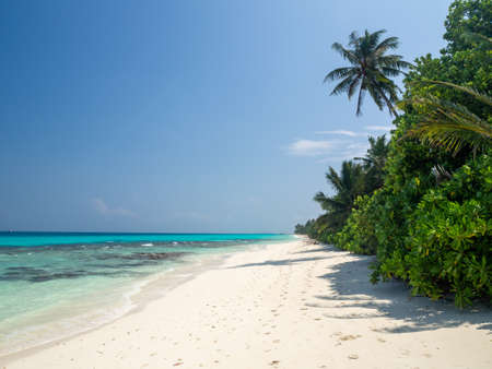 Maldives tropical islands panoramic scene, idyllic beach palm tree vegetation and clear water Indian ocean sea, tourist resort holiday vacationの写真素材