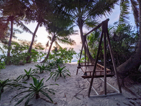 Tropical forest walk path, road between palm coconut trees, exotic island vegetation. travel holiday vacationの写真素材
