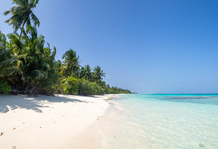 Maldives tropical islands panoramic scene, idyllic beach palm tree vegetation and clear water Indian ocean sea, tourist resort holiday vacationの写真素材