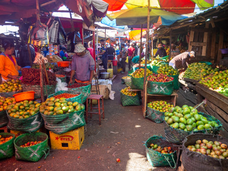 Landscapes of the island of Madagascar, traditional street market of Andsirabe, local peopleの写真素材