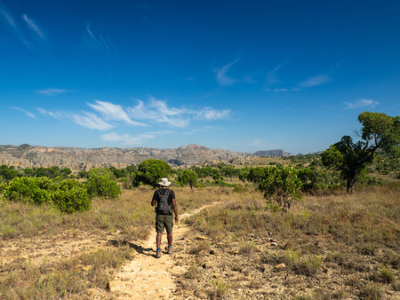 Landscapes of the island of Madagascar, Central Highlands Isalo National Parkの写真素材