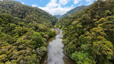 Landscapes of the island of Madagascar, Central Highlands Ranomafana national parkの写真素材