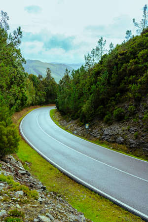 curb road through hill with trees, rocks and cloudy skyの写真素材
