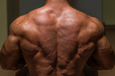 male bodybuilder flexing his backの写真素材