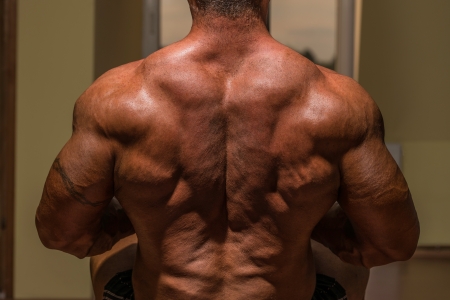 male bodybuilder flexing his backの写真素材