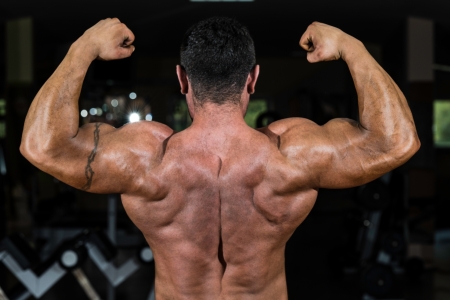 muscular bodybuilder showing his back double bicepsの写真素材