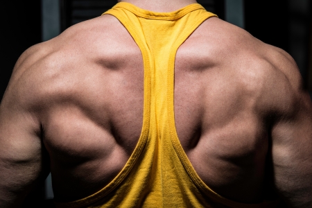 male bodybuilder flexing his backの写真素材