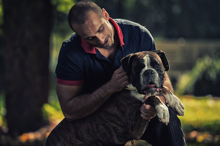 Man Playing With Dog In Park