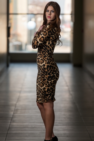 Beautiful Woman Wearing A Dress With Animal Printの写真素材