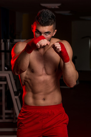 Warriorの写真素材