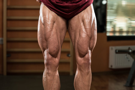 Close-Up of Bodybuilders Legs Ready For Competitive Sport
