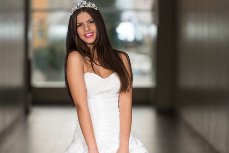 Beautiful Bride In Her Wedding Dressの写真素材