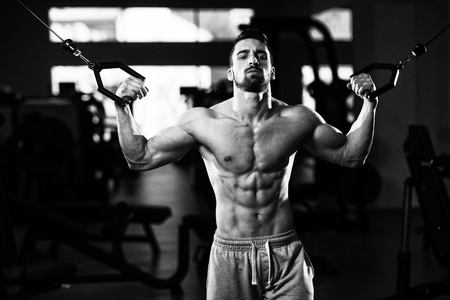 Young Muscular Fitness Bodybuilder Doing Heavy Weight Exercise For Biceps On Machine With Cable In The Gymの写真素材