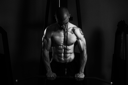 Young Muscular Fitness Bodybuilder Doing Heavy Weight Exercise For Triceps In The Gymの写真素材