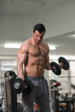 Handsome Hairy Man Working Out Biceps In A Fitness Center Gym - Dumbbell Concentration Curlsの写真素材