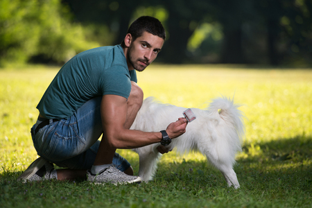 Young Man Sitting With Dog German Spitz In Park - He Cleans Himの写真素材