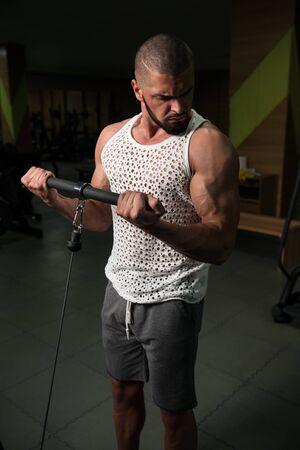 Man In The Gym Exercising On His Biceps On Machine With Cable In The Gymの写真素材