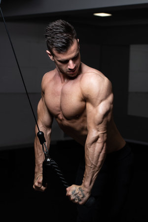 Young Muscular Fitness Bodybuilder Doing Heavy Weight Exercise For Triceps On Machine In The Gym